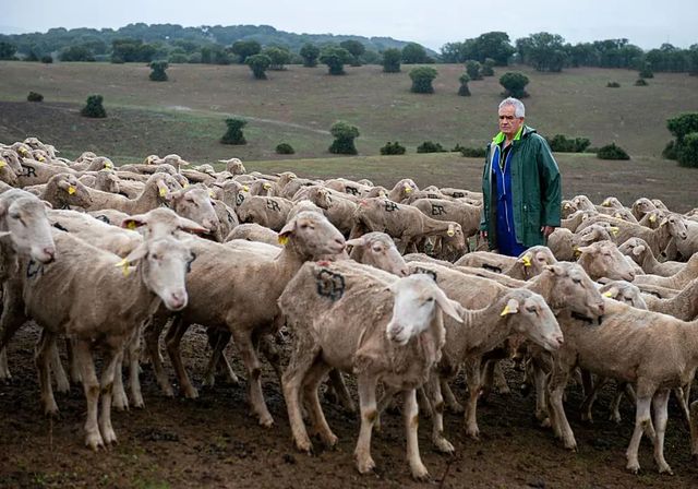 Francia acelera para descarrilar el acuerdo con Mercosur mientras su campo protesta por el sacrificio de ganado