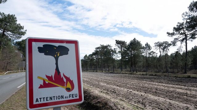 Francia, oltre 12 mila evacuati tra residenti e turisti per il maxi-incendio in Gironda