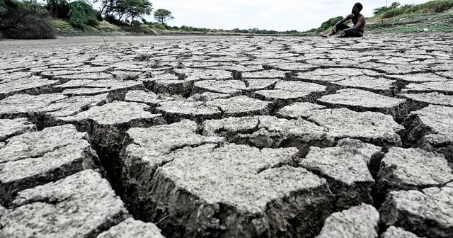53 more taluks to be declared drought-hit, total to touch 177