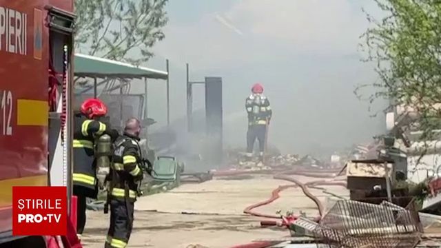 Goliath, primul ligru din România, a murit într-un incendiu la grădina zoloogică din Zaharești, Suceava