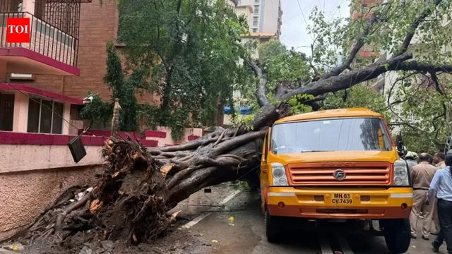 Tree Collapses On School Bus In Chembur, One Student Killed And 10 Injured