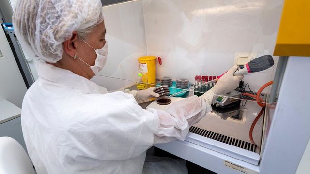 Kvůli mrtvému novorozenci chystá policie v Rovensku plošný test DNA u žen