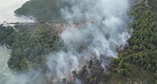 Grosso incendio a Vieste, brucia il bosco di baia San Felice