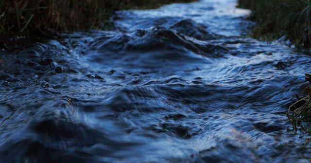 Тяло изплува от река Черни Лом в Русенско