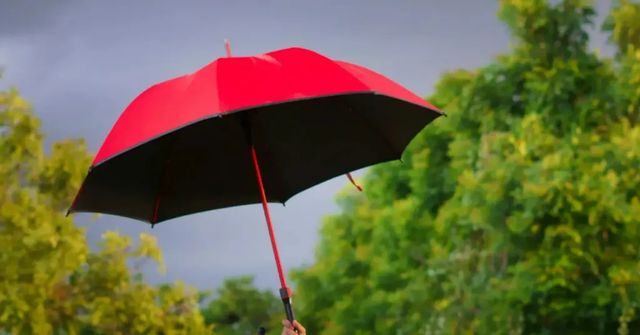 Počasí bude tento týden proměnlivé. Budou se střídat deštivé a slunečné dny
