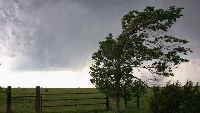 Atenționări meteo de caniculă și vânt puternic