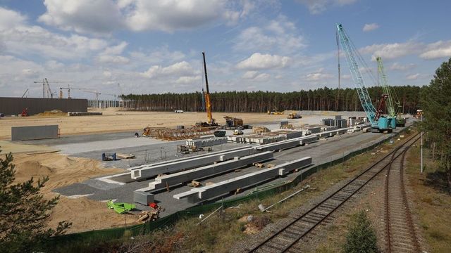 O companie olandeză își anunță plecarea din România. Scoate la vânzare aproape 800 de hectare de teren agricol