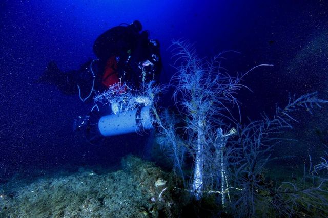 Giallo a Genova, sub muore durante immersione con gli amici vicino al relitto della petroliera Haven