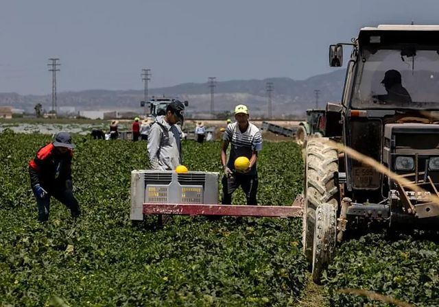 La regularización de inmigrantes apenas tendrá impacto en la economía española
