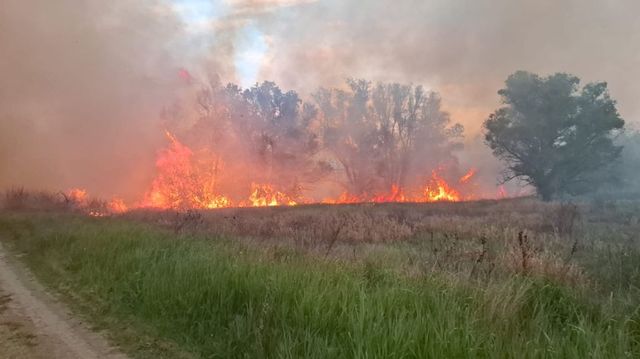 Cod galben de pericol de incendiu în Republica Moldova