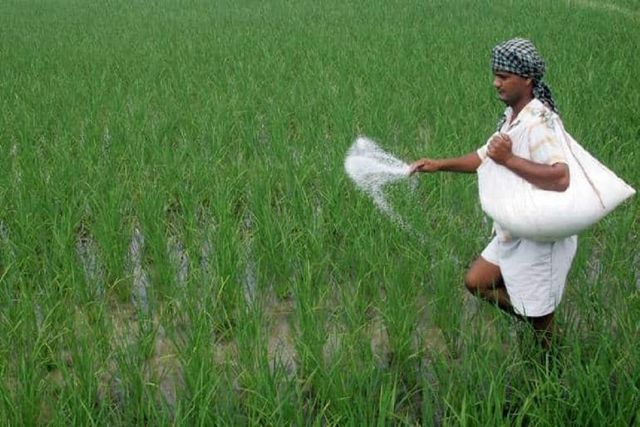 Cabinet Panel Nod To Fertiliser Subsidy To Benefit Farmers In Rabi Season