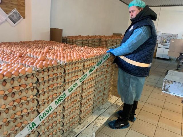Alertă alimentară – Un lot de ouă, retras de pe piață de ANSA
