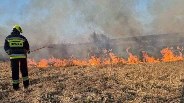 Un bărbat, grav rănit după ce a încercat să stingă un incendiu de vegetație