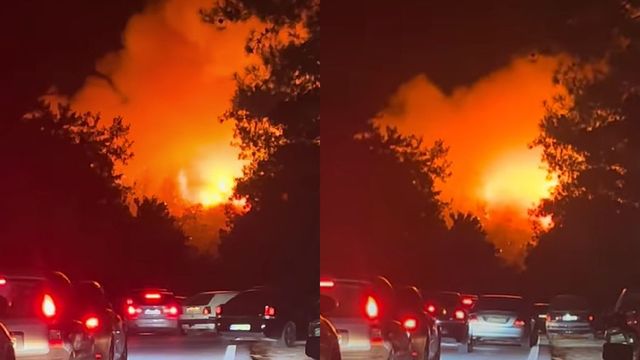 Care este situația în insula Thassos, după ce au izbucnit incendii de vegetație. Ce spune un român stabilit în insula preferată a românilor