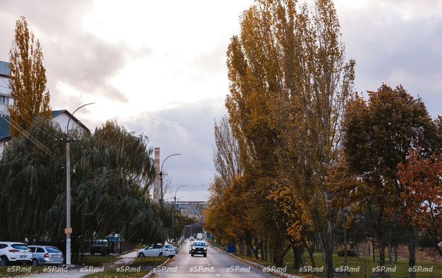 Продолжают падать — цены на топливо в Молдове на вторник, 12 ноября