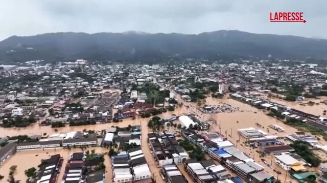 Hat Yai, soccorritori salvano un vitello intrappolato sopra un palo