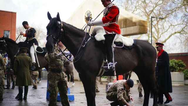 Armata britanică, chemată să ajute la capturarea unor cai scăpați în centrul Londrei