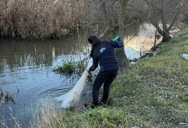 Braconaj piscicol pe râul Răut