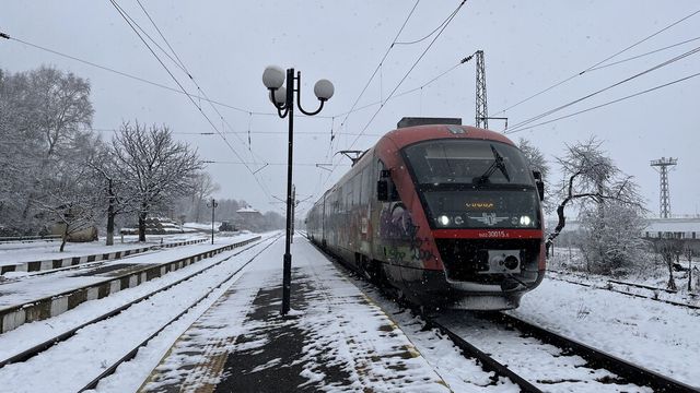 Паднало дърво спря влак между гарите Мирково и Столник