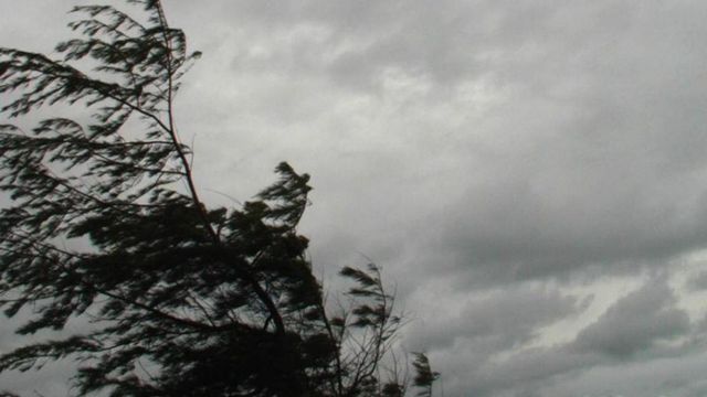 ANM: Avertizare de vânt puternic în toată România