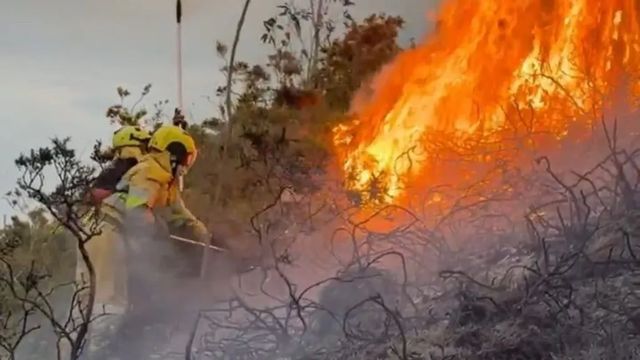 El peor Red Bull de la última década
