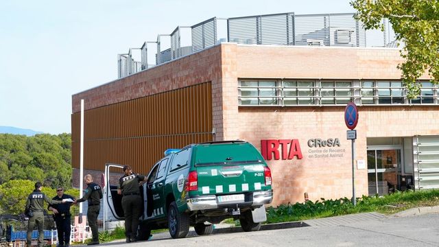 Guardia Civil y Mossos registran el laboratorio de Barcelona sospechoso del origen del brote de la peste porcina africana