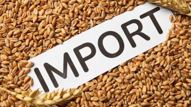 Fermierii cer prelungirea licențierii la importul de cereale