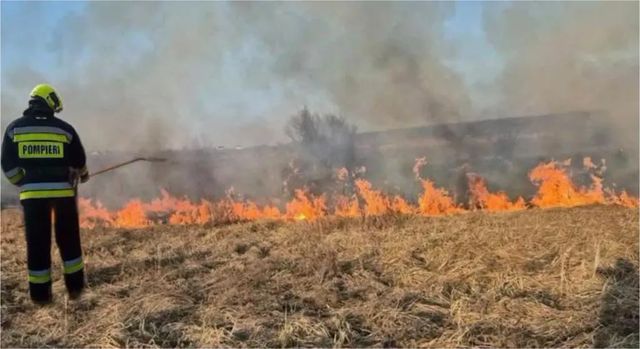 Flăcările au mistuit zeci de hectare: Peste 40 de incendii de vegetație, stinse în 24 de ore
