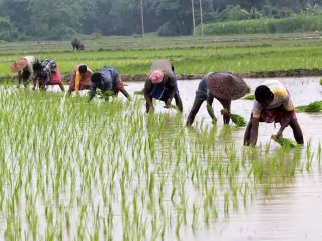 Telangana Govt to Launch Farm Loan Waiver Scheme