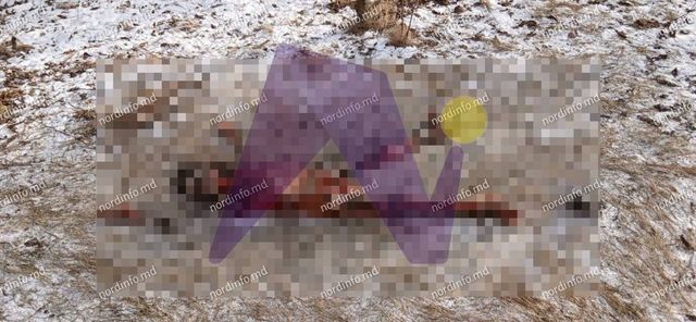 Crimă șocantă în nordul țării: Cadavrul unei femei, găsit la marginea satului