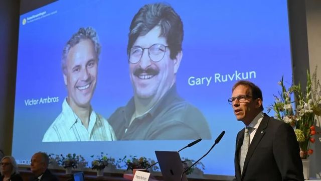 Victor Ambros és Gary Ruvkun kapta az orvosi Nobel-díjat