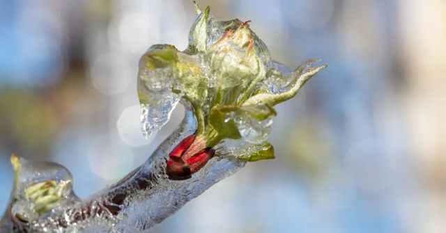 Ráno bylo někde velmi mrazivé, na Šumavě naměřili minus 10,3 st.
