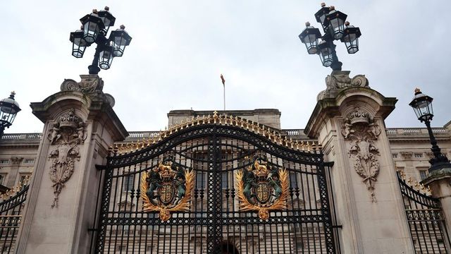 Car crashes into gates of Buckingham Palace, driver arrested