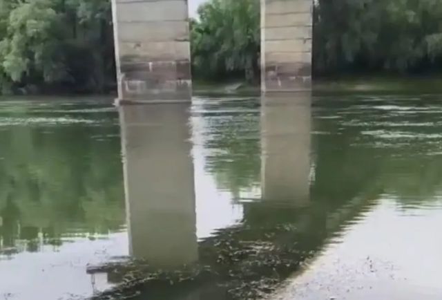 Ministerul Mediului anunță verificări la Vadul lui Vodă după semnalarea unor posibile pete de poluare