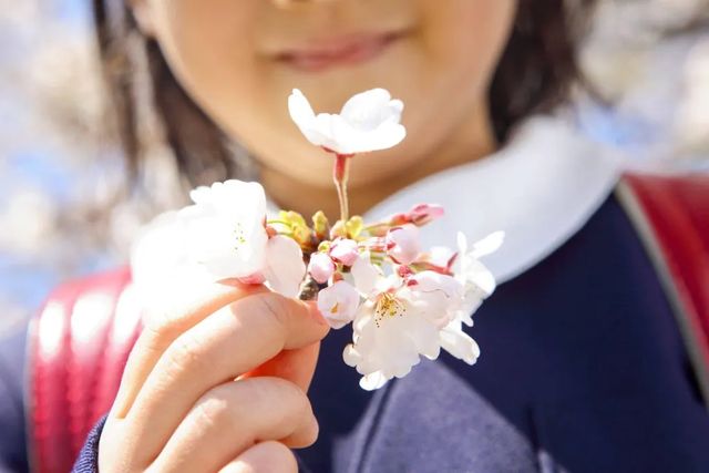 Equinozio di primavera 2026, data e significato