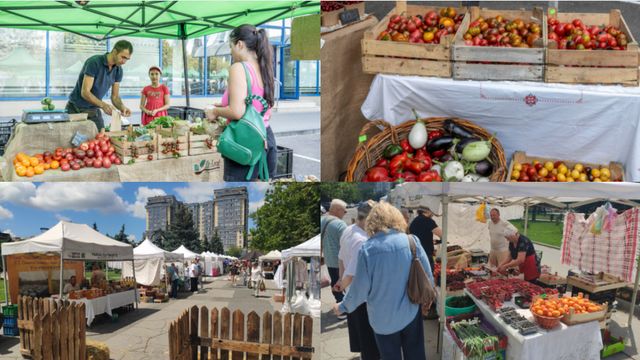 Legumele, fructele și ouăle s-au scumpit cel mai mult în februarie