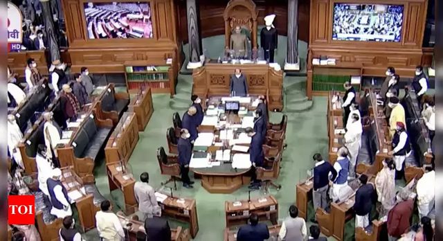 Question In Tamil, Reply In Hindi Leads To Heated Exchanges In Lok Sabha