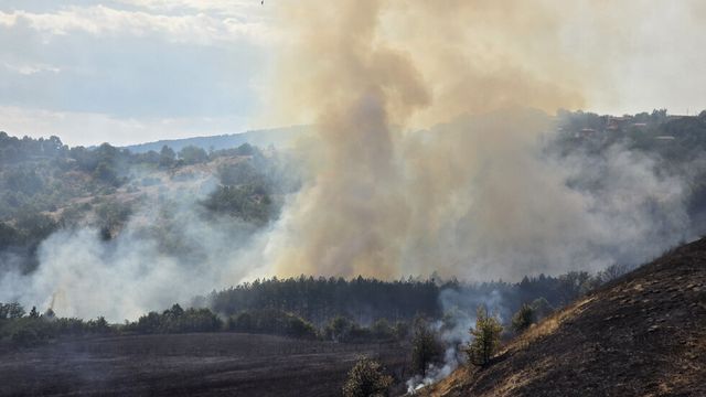 Локализиран е пожарът до кърджалийските села Калинка и Царевец