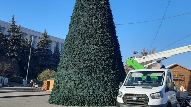 Bradul de Crăciun, demontat din PMAN