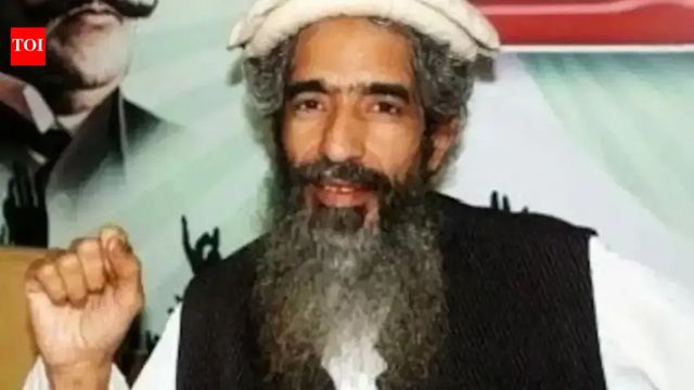 LeT co-founder Amir Hamza shot at in Lahore, second incident in a year