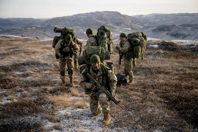 Danemarca a introdus serviciul militar obligatoriu