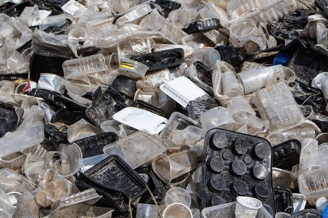 Lumea se confruntă cu o criză a plasticului de 1,5 trilioane dolari care afectează sănătatea de la naștere până la bătrânețe