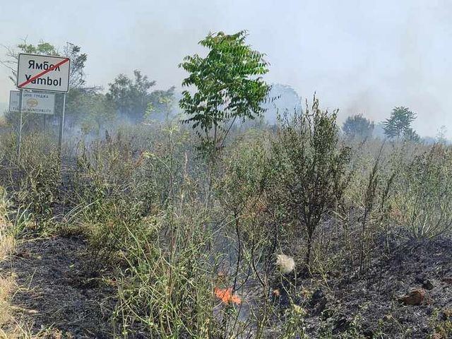 Овладян е пожарът в близост до гробищния парк на Ямбол