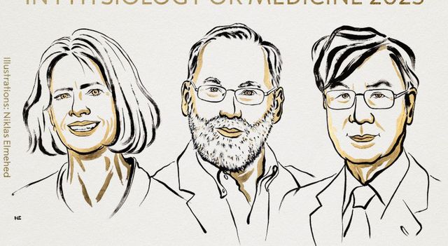 Premio Nobel per la Medicina a Brunkow, Ramsdell e Sakaguchi per le loro scoperte sulla tolleranza immunitaria periferica