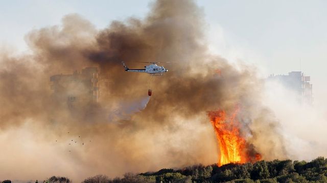 Un incendio forestal obliga a desalojar un edificio de viviendas en El Saler