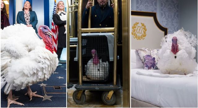 Washington, alla Casa bianca fra Thanksgiving e preparativi per le feste natalizie