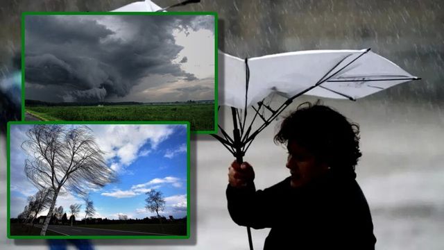 Cod galben de vânt puternic în opt județe, până vineri seară