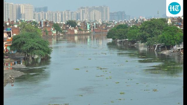Water level in dams and rainfall