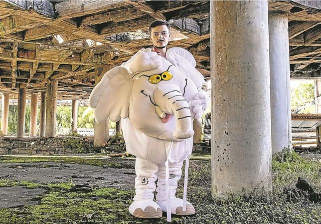 Un elefante se cuela en el Senado de Colombia