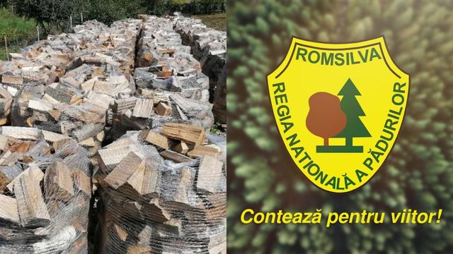 Romsilva va oferi populației 2 milioane metri-cubi de lemn pentru foc în 2025